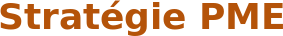 Stratégie PME